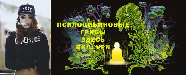 гашик Баксан