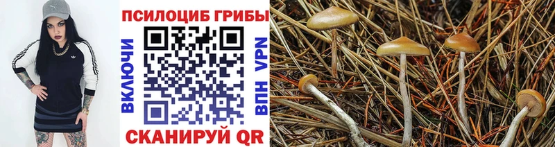 Купить  Киреевск  Галлюциногенные грибы GOLDEN TEACHER 