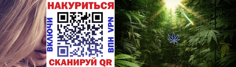 Купить где  Киреевск  Каннабис OG Kush 